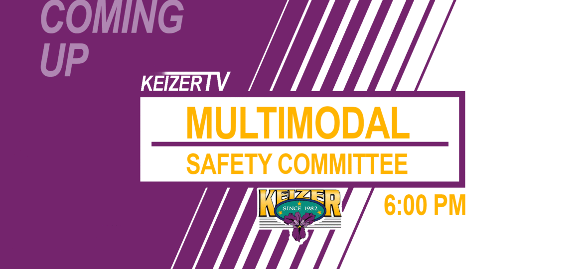 Multimodal Safety Committee 11/20/2025